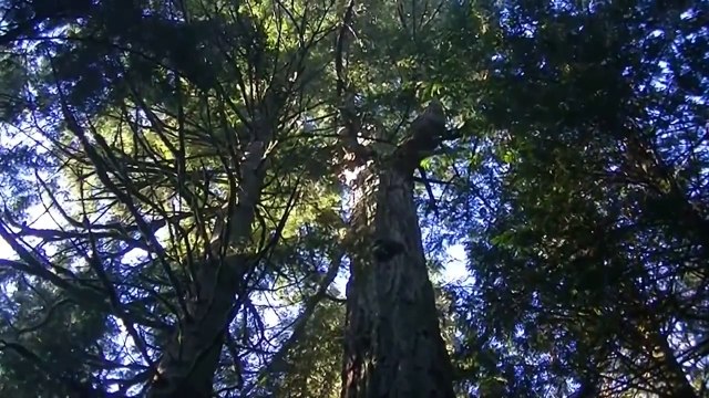 24° Encontro da Nova Consciência -=- DESAFIOS para um FUTURO Possível