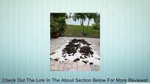 Superior High Quality Brindle Cowhides Rug Brown Chocolate Nutella Review