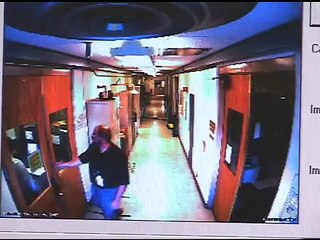 Scientists train honeybees to detect explosives