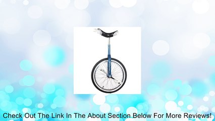 Schwinn 20" Unicycle - Retro Blue Review