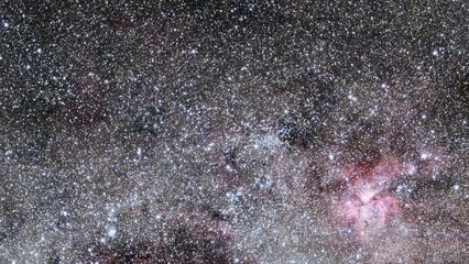 Zooming in on the colourful star cluster NGC 3532