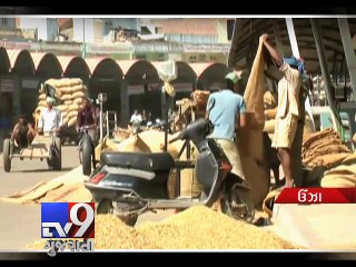 SCAM of Rs 311 crore in Unjha market yard, claims BJP - Tv9 Gujarati