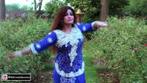 PHUL GULAB DA - BINDIA DANCE - PAKISTANI MUJRA DANCE