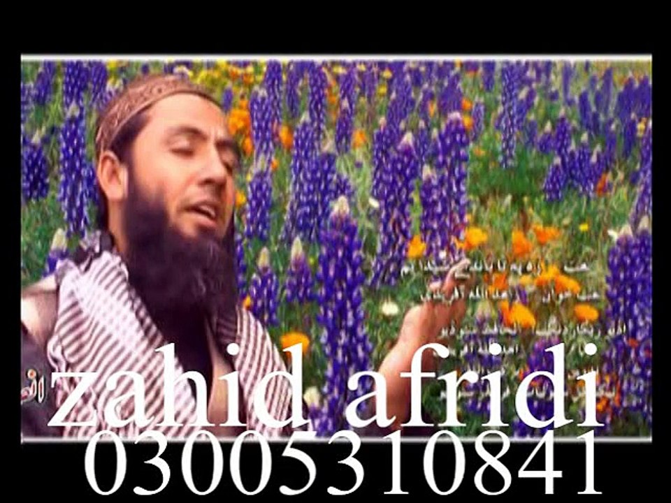 da dunya paty da da