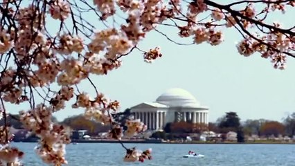 Accidental Love Official Trailer 1 (2015) - Jake Gyllenhaal, Jessica Biel Movie HD