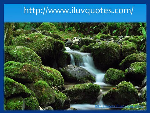 Famous Authors Quotes Provokes The Readers