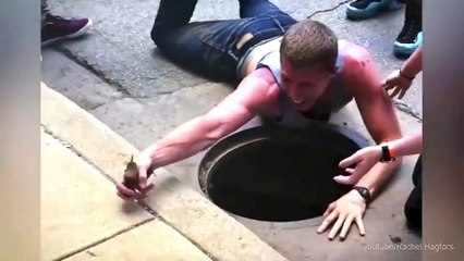 Ces gens ont risqué leur vie pour sauver des animaux