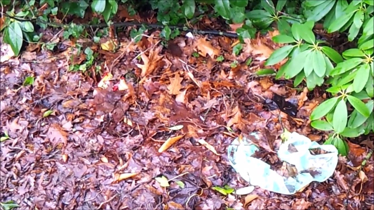 Pinneberg Januar 2015 - Der erste Sturm 03 /Full Film/Ganzer Film/Complete Movie