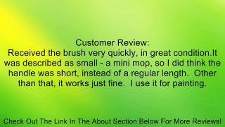 Royal Brush Soft Grip Sabeline Mini Mop Brush Review
