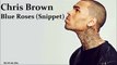 Chris Brown - Blue Roses (Snippet)