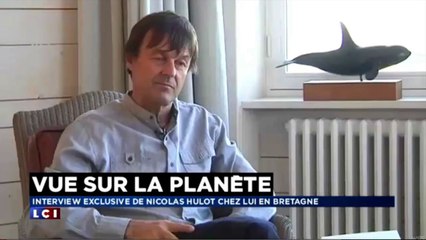 Hulot : "Trois fois par jour, j’ai envie de tout abandonner !"
