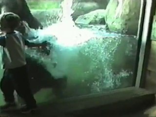 Haroon Mahmood – Funny Animal Video – Haroon Mahmood