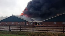 Beelden: Brand in Veendammer schuur kost veertigduizend kippen het leven - RTV Noord