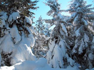 Trois jours de randonnée en raquettes aux confins de la Haute Ardèche