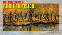 Natural Beauty Of Gilgit Baltistan