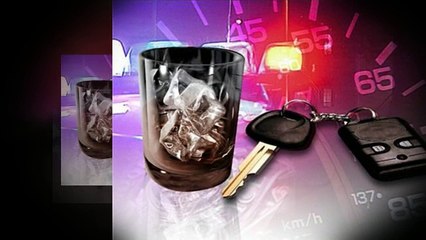 Petty Larceny Van Nuys