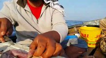 Salt water fishing: how to put single slice bait for taru ( drift fishing for mackerel)