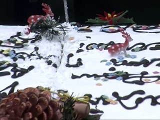 17η κυνηγετική συνάντηση 2015, Περίβλεπτο