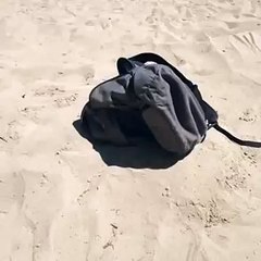 아이스하키↖★×★【DBF808.ＣOＭ】 ↖★×★아이스하키O­Ｍ】 ↖★×★아­이­스­하­키