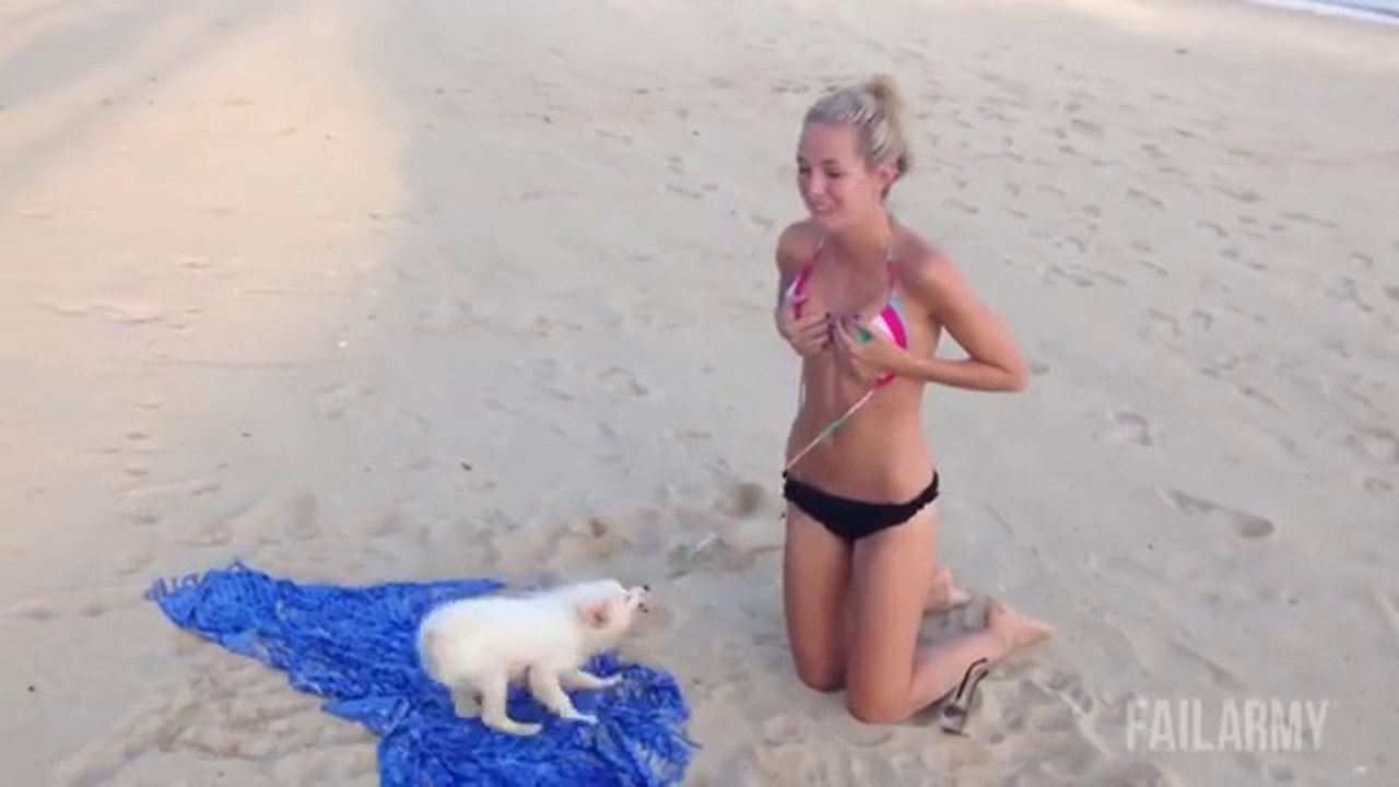 Ultimate Girls Fails of the Year 2014 - Dailymotion Video.