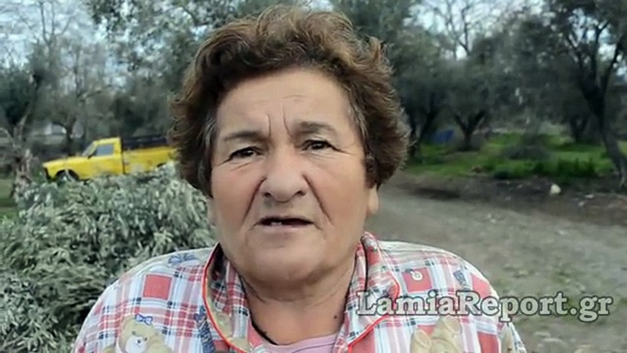LamiaReport.gr_ Φόλες σε μαντρί στις Κομποτάδες