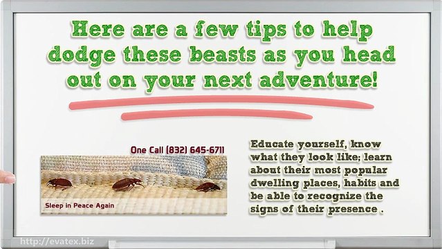 How To Avoid Beg Bug While Traveling Utilizing Evatex Packing Cubes