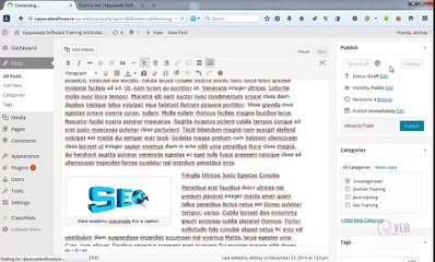 insert image in post in wordpress  2 telugu