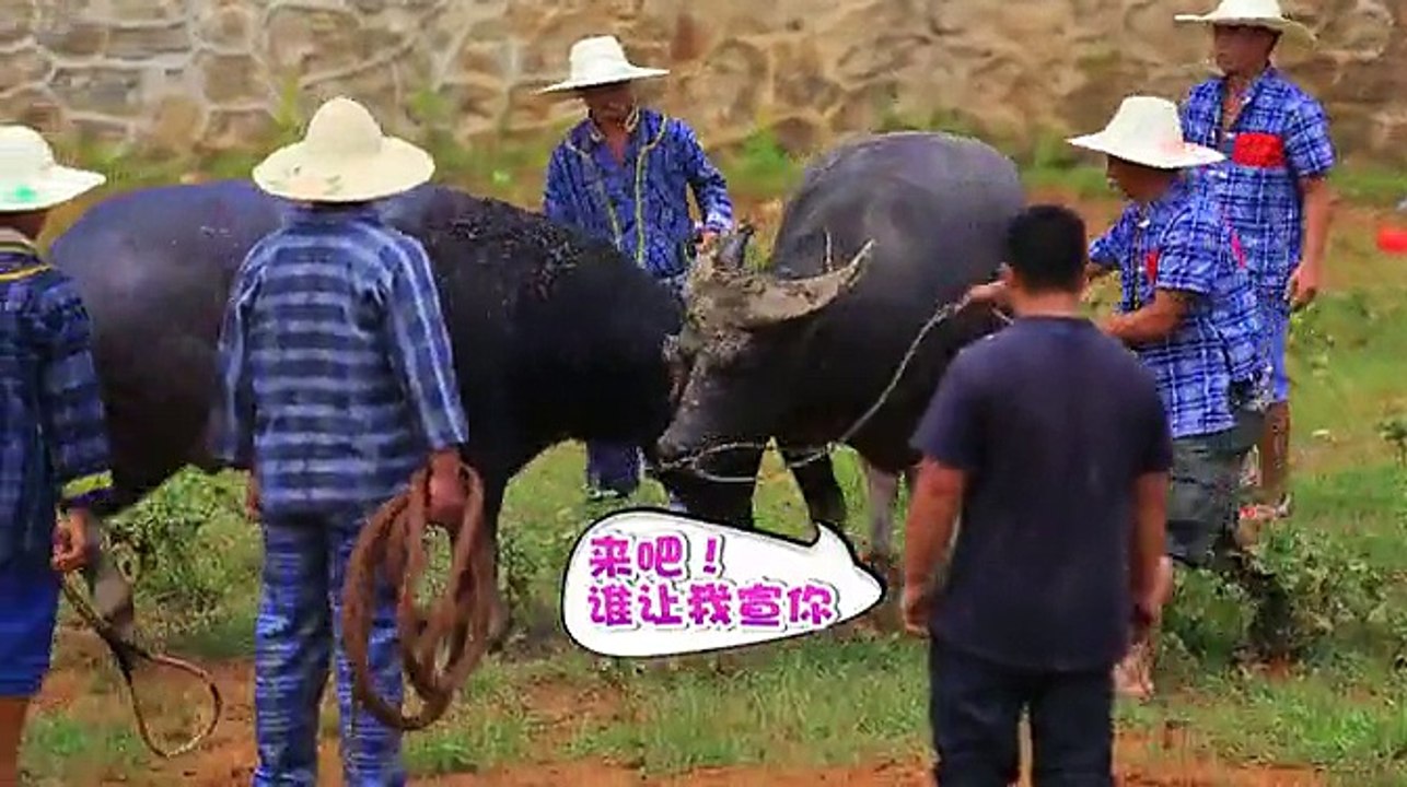 旅行囧记 2014-荔波02