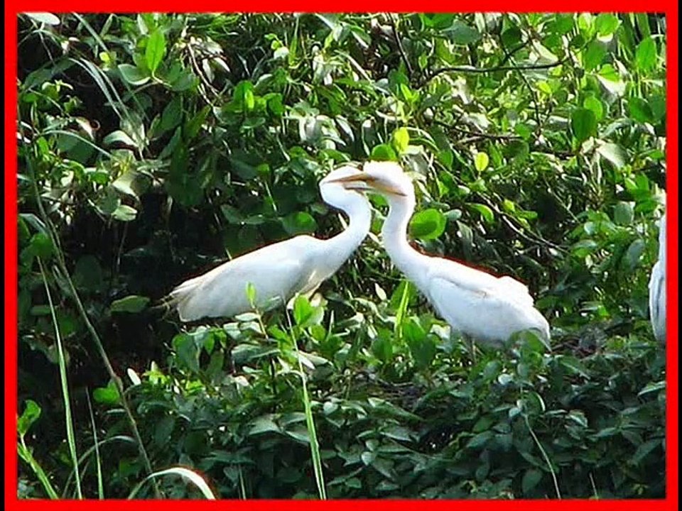 Kerala Tour in India || Kerala Tourism place in india 2014, 2015|| Tourism Kerala in india || Kerala Travel in India