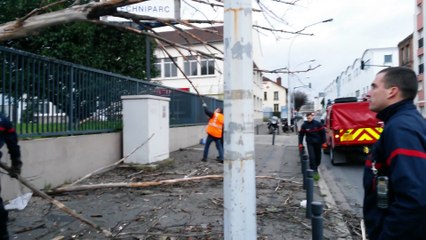 Intervention des pompiers sur arbre tombé sur la rue du Landy (niveau 166)