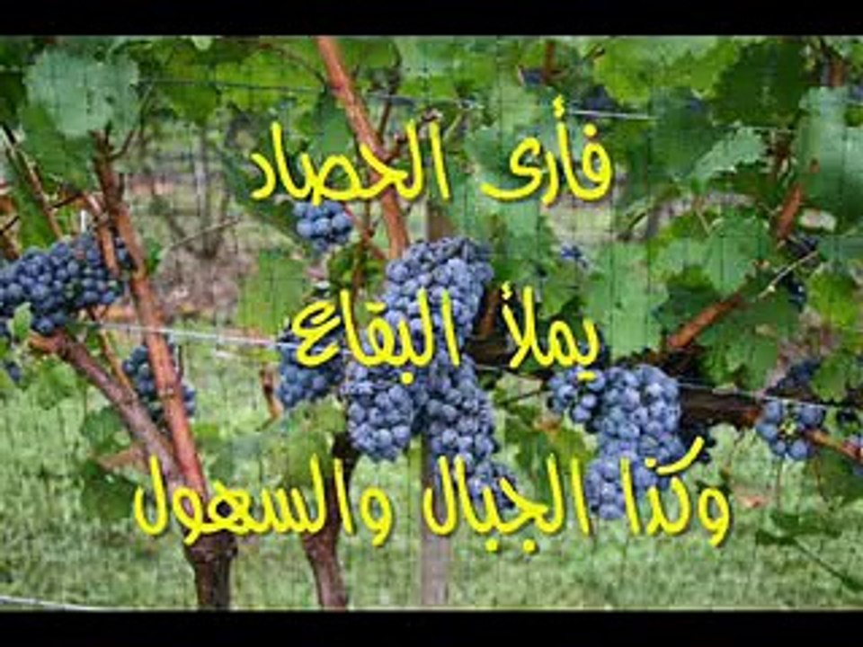 ترنيمة ضع في قلبي حباً