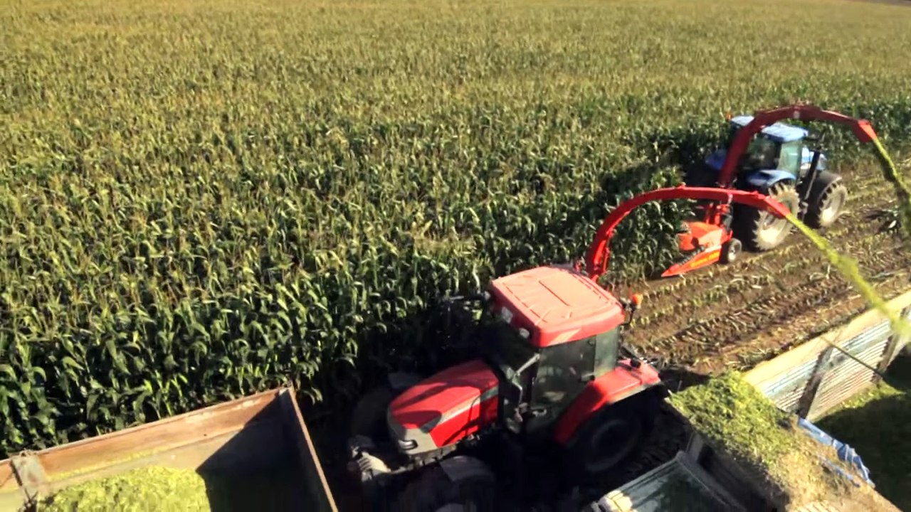 Sıra Bağımsız Mısır Silaj Makinesi - Quattro 2500