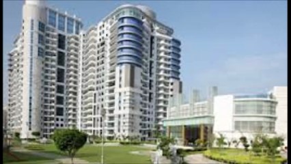 dlf pinnacle