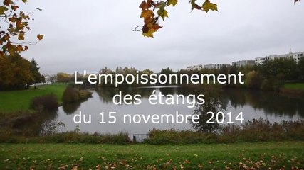 Empoissonnement des étangs - AAPPMA Le Pêcheur de Marne La Vallée - Novembre 2014