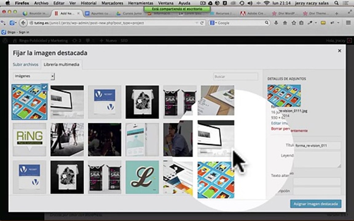 Wordpress Tutorial Español - Proyectos y portfolios con DIVI Wordpress
