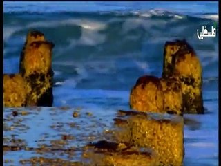 فلسطين هذا الصباح      28-12-2014  ج1