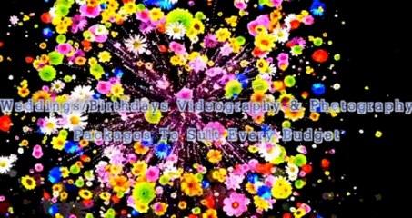 Ramlus Videography & Photography