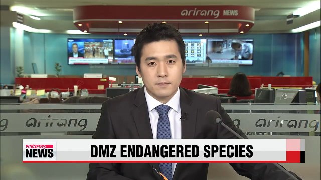 Several endangered species found in Korea's DMZ