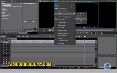 Edius 6 Complete urdu course part 5