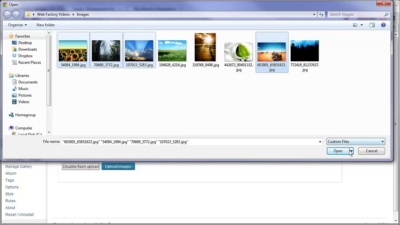 Wordpress Tutorial NextGen Gallery - Create Galleries & Albums-1