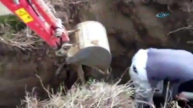 İşçiye öyle bir şaka yaptılar ki! Tam bir komedi