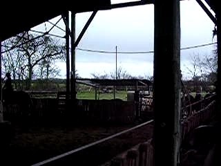 Ivy : tenir les épaules au pas