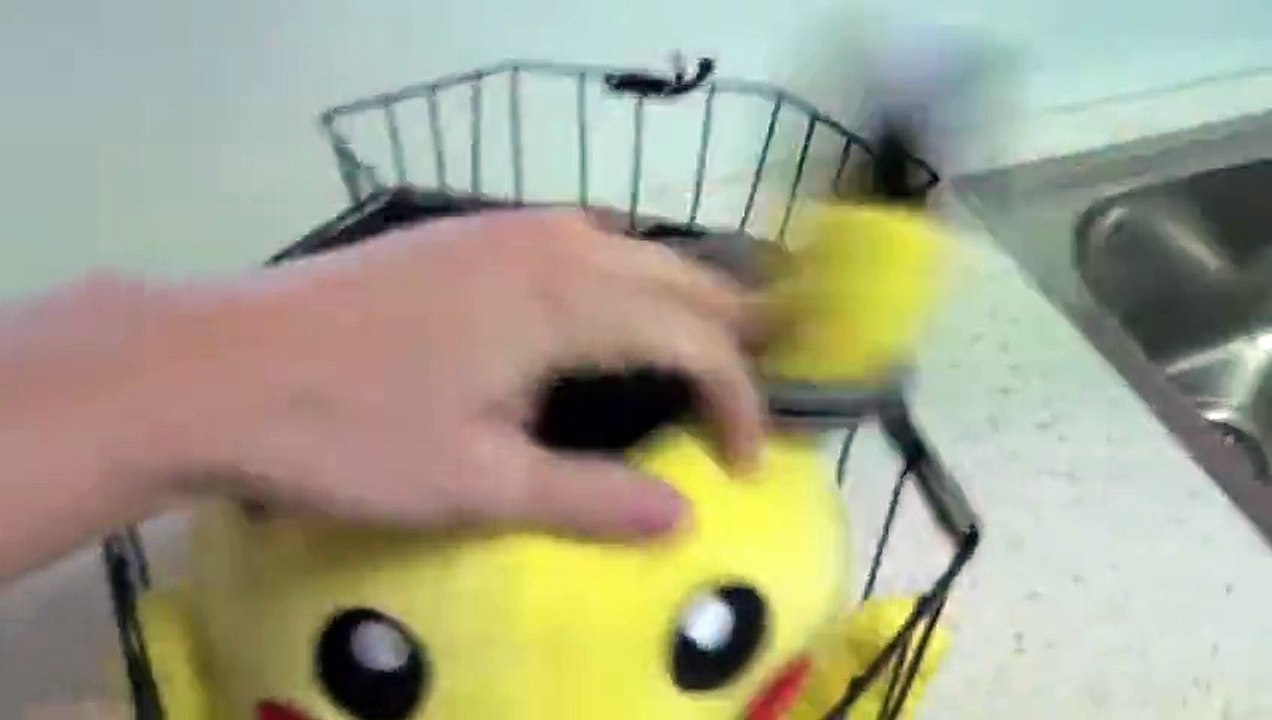 How To Catch a Pokemon