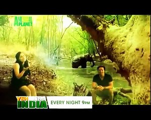 Yeh Mera India Anthem   Animal Planet Discovery Channel