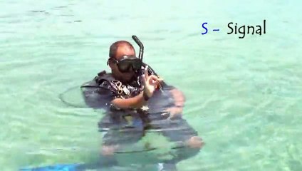 belajar diving menyelam 06 Five Point Descent, Skill # 6.mpg-0006