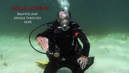 belajar diving menyelam 08 Mask Removal Replacement and Clearing, Skill # 8-0008