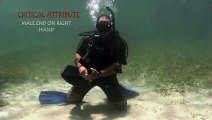belajar diving menyelam 17 Remove and Replace Weights Underwater, Skill # 17.mpg-0016