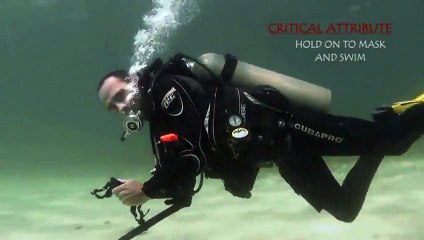belajar diving menyelam 20 No mask Swim, Become a Divemaster or Instructor-0019