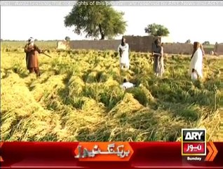 Criminals Most Wanted - 28th December 2014