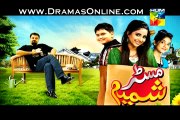Mr Shamim Episode 1 - 28 December 2014 - Hum Tv New Drama Full Episode